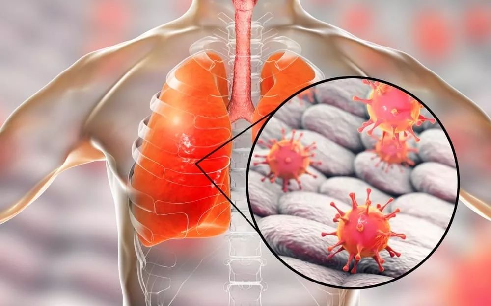 关于风云突变浙江稠州转会期完成体检，德国杯版图或变，引发热议，医务组通报恢复的信息-开云体育线上网站